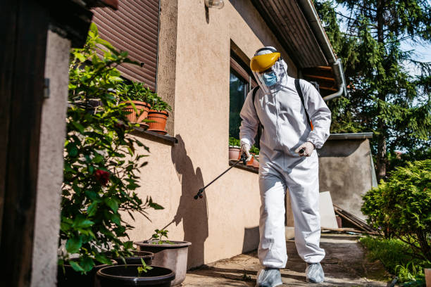 Pest Prevention Services in South River, NJ